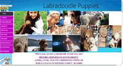 Desktop Screenshot of lovealabradoodle.com