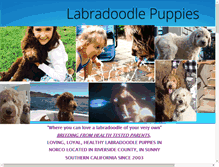 Tablet Screenshot of lovealabradoodle.com